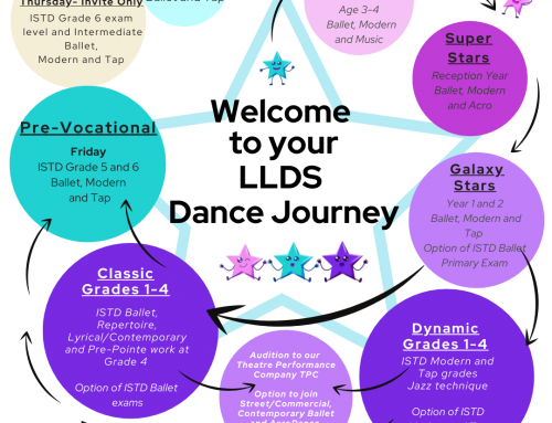 Our LLDS Dance Journey
