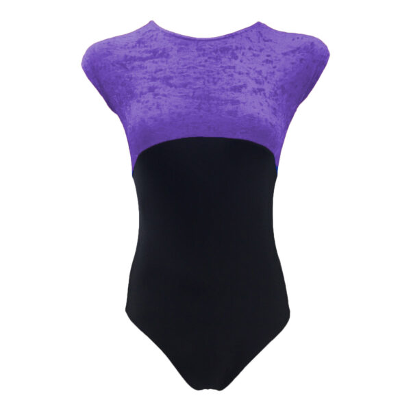 Dynamic Stars Levels 3-5 Leotard